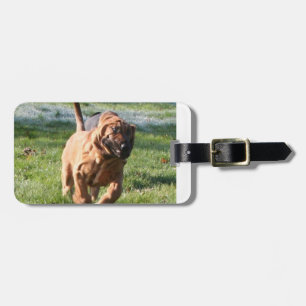 bloodhound running.png luggage tag