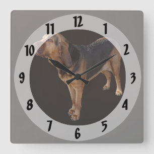 Bloodhound Square Wall Clock