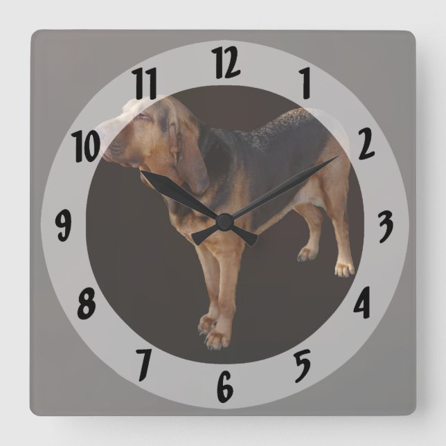 Bloodhound Square Wall Clock (Front)
