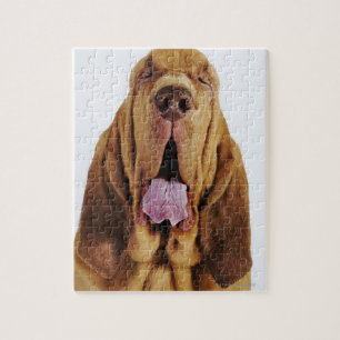 Bloodhound (St. Hubert Hound) with closed eyes, Jigsaw Puzzle