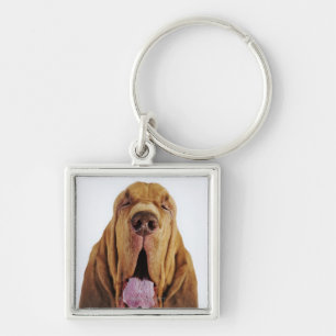 Bloodhound (St. Hubert Hound) with closed eyes, Keychain