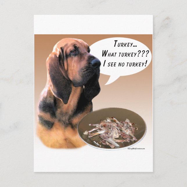 Bloodhound Turkey Postcard (Front)