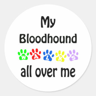 Bloodhound Walks Design Classic Round Sticker