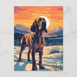 Bloodhound winter mountain forest during sunset postcard