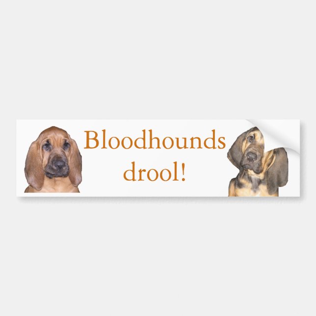 Bloodhounds drool! bumper sticker (Front)