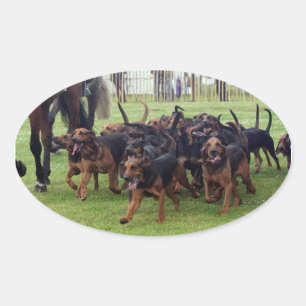 bloodhounds oval sticker