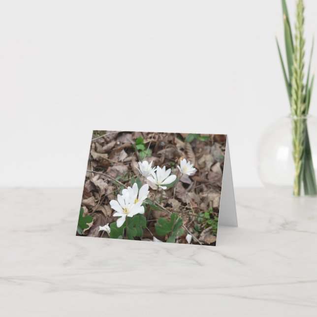 Bloodroot Bouquet Card (Front)