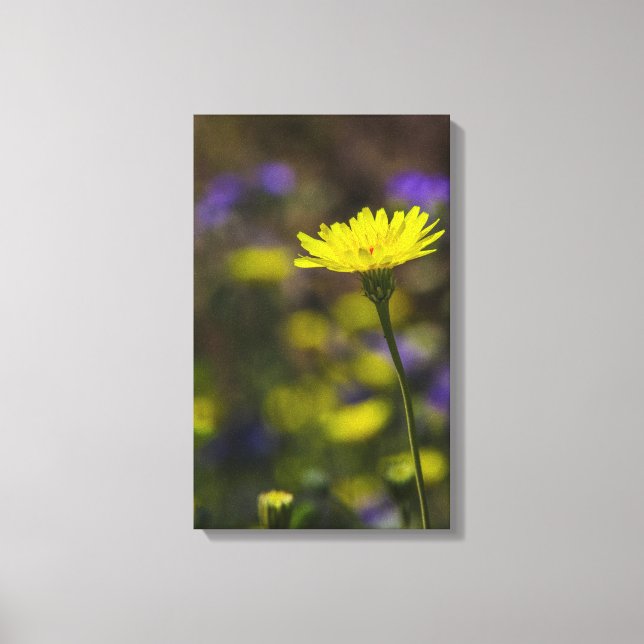 Bloom Canvas Print (Front)