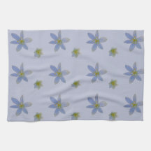 bloom in white