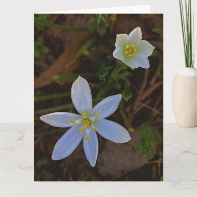 bloom in white  thank you card (Front)