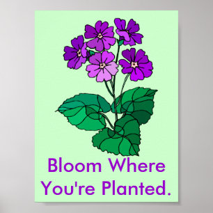 Bloom là où vous êtes planté Poster