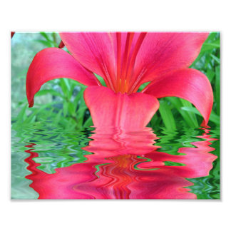 Bloom of Life Photo Print