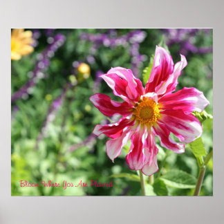 Bloom Où Vous Avez Planté Poster