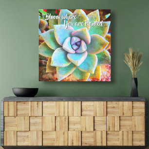"Bloom Where Planted" Turquoise Green Cactus Photo Canvas Print