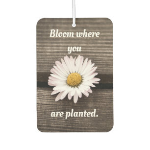 Bloom Where You Are Planted Air Freshener