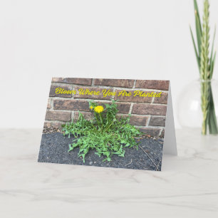 Bloom Where You Are Planted Dandelion Photo Card