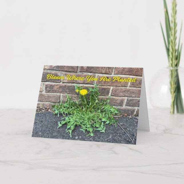 Bloom Where You Are Planted Dandelion Photo Card (Front)