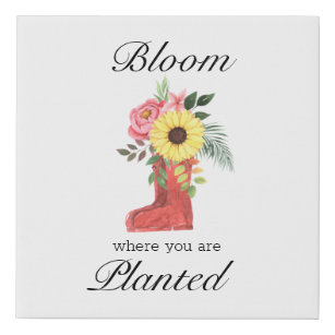 Bloom Where You Are Planted Floral Motivational   Faux Canvas Print