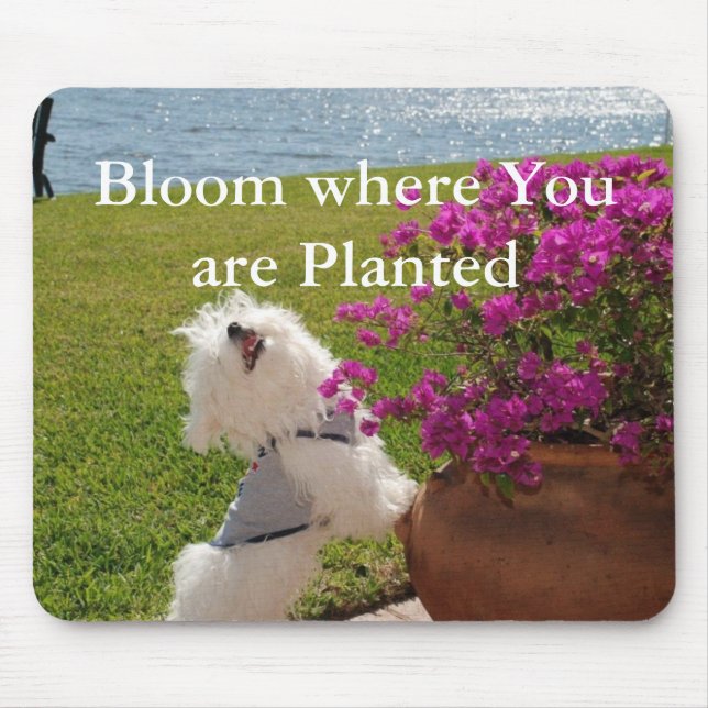 Bloom where You are Planted mousepad image (Front)