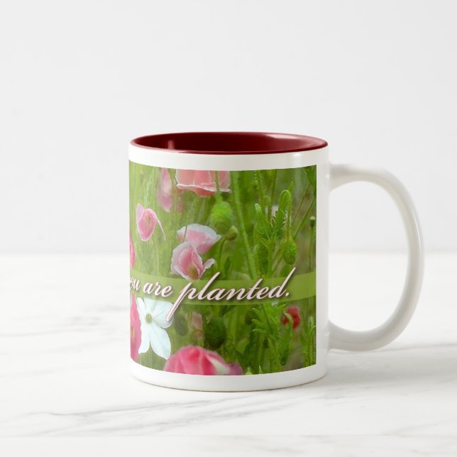 Bloom Where You Are Planted, Pink poppies Two-Tone Coffee Mug (Right)