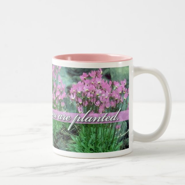 Bloom Where You Are Planted, Shooting Star Two-Tone Coffee Mug (Right)