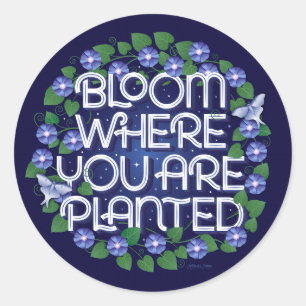 Bloom Where You Are Planted / Stickers
