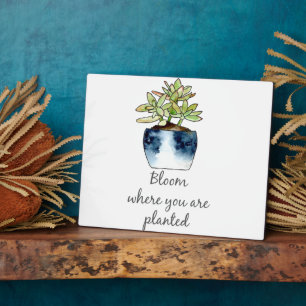 Bloom Where You Are Planted Succulent Plaque