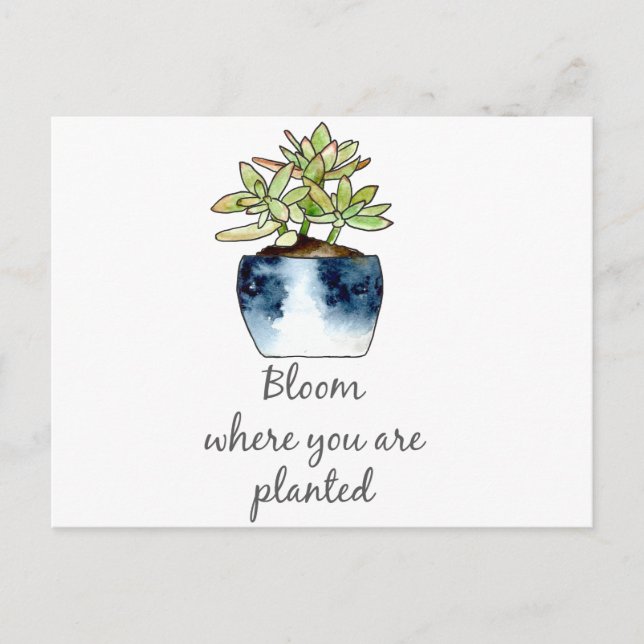Bloom Where You Are Planted Succulent Postcard (Front)