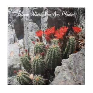 Bloom Where You Are Planted Tile