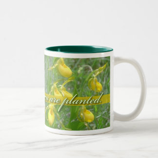 Bloom Where You Are Planted, Yellow Ladyslipper Two-Tone Coffee Mug