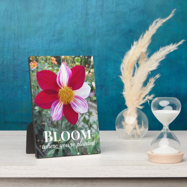 Bloom Where You're Planted Quote Floral Plaque (Side)