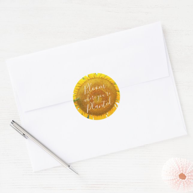 Bloom Where You're Planted Yellow Sunflower Classic Round Sticker (Envelope)