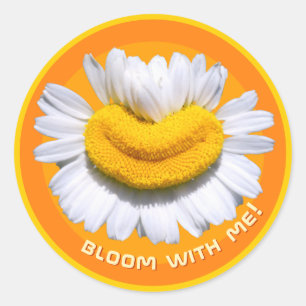 "bloom with me!" Smiling Chamomile Orange Classic Round Sticker