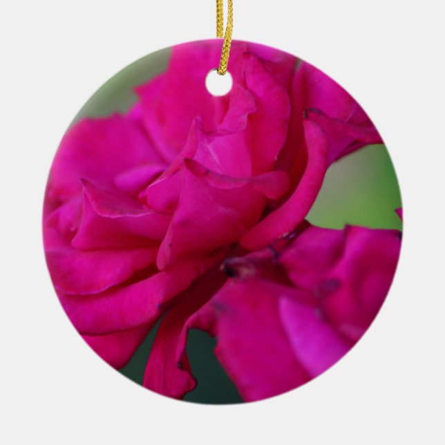 Bloomed Pink Rose Ceramic Ornament (Front)