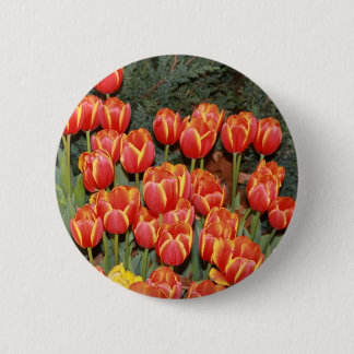 Bloomin' Tulips! 2 Inch Round Button