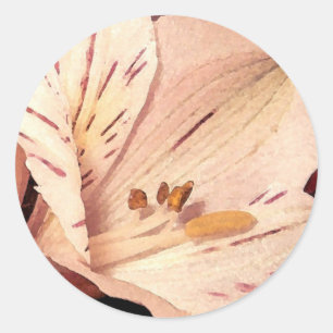 Blooming Alstromeria Classic Round Sticker