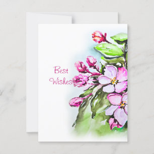 Blooming Apple Blossoms Postcard