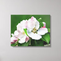 Blooming Apple Tree Spring Canvas Wall Art