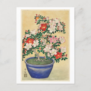 Blooming Azalea in Blue Pot Vintage Woodcut Postcard