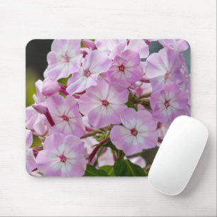 Blooming Beauty: Captivating Phlox Photography Mouse Pad