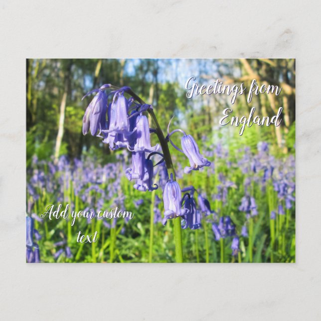Blooming Bluebells - Personalized Postcard (Front)