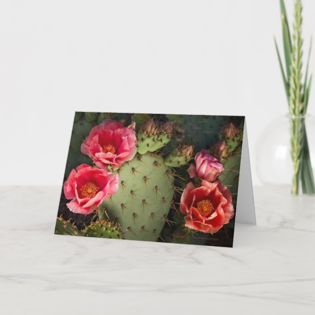 Blooming Cactus Personalized Greeting Card (Front)