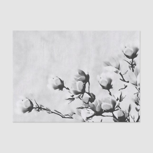 Blooming cherry flowers, floral black and white tissue paper (Front)
