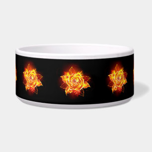 Blooming Fire Rose