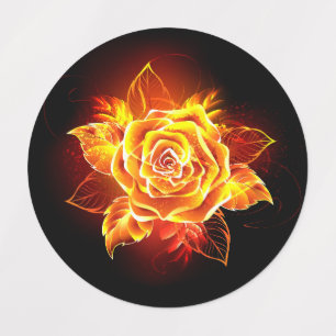 Blooming Fire Rose