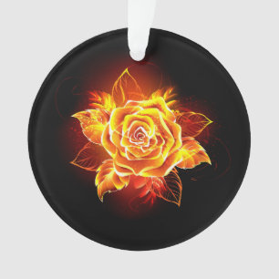Blooming Fire Rose