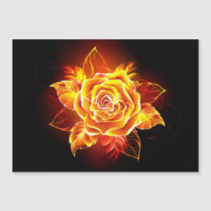 Blooming Fire Rose