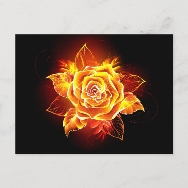 Blooming Fire Rose Announcement Postcard (Front)