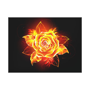 Blooming Fire Rose Canvas Print