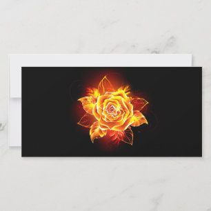 Blooming Fire Rose Holiday Card